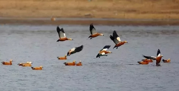 1524620695697089480.jpg 1.jpg