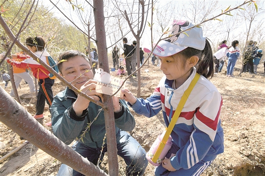 1524641371173029530.jpg res07_attpic_brief.jpg