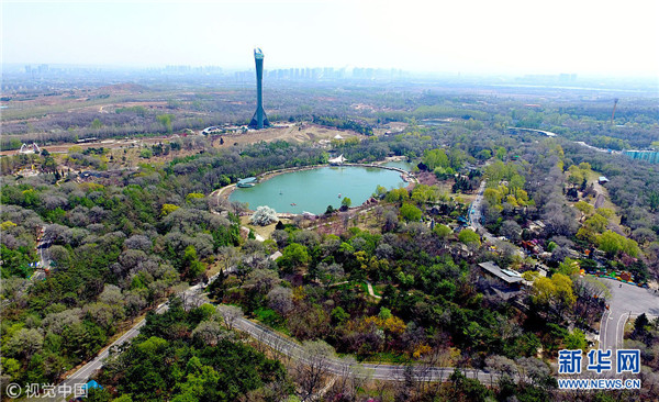 1524909407714024171.jpg 图片30.jpg