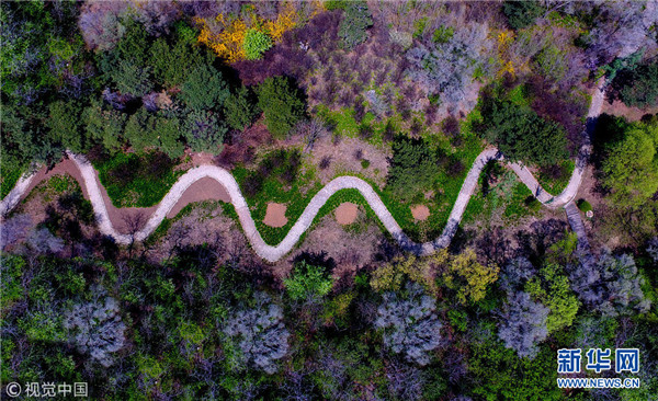 1524909421301021190.jpg 图片31.jpg