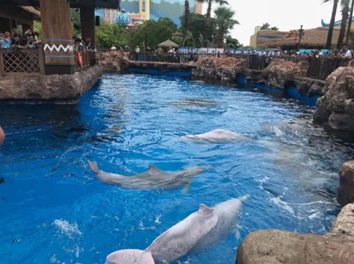 1525916276772085099.png 3_副本.png