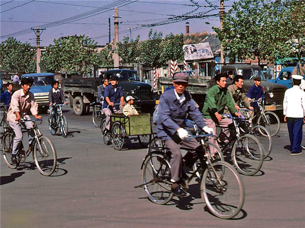 1526864439890096966.jpg 图片12.jpg