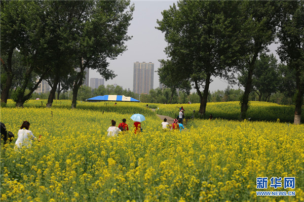 1528447372185078583.jpg 图片11.jpg