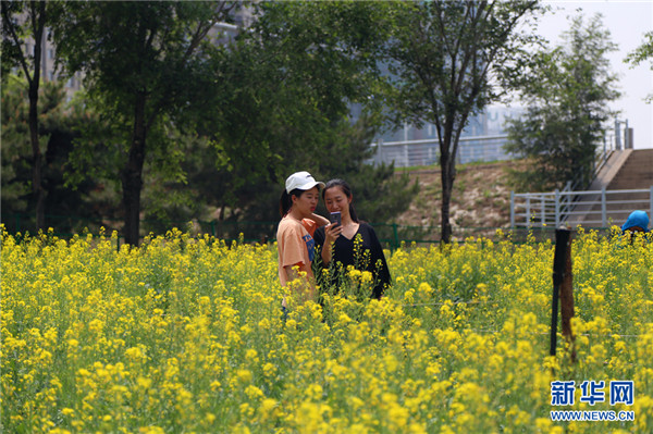 1528447386613006621.jpg 图片12.jpg