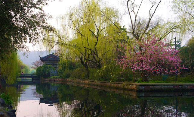 1528771436895040827.jpg 花港观鱼4_副本.jpg