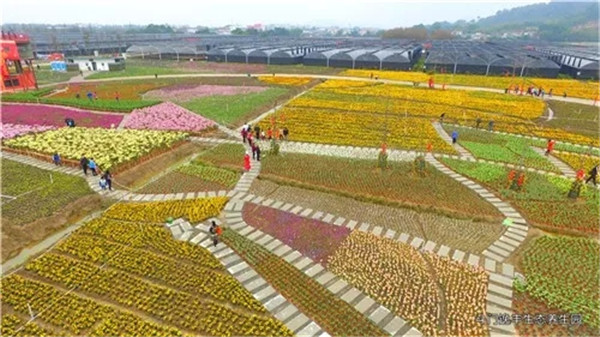 1529632136557030602.jpg trip4_副本.jpg