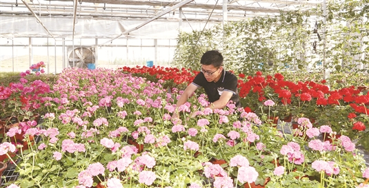 1529999614825041855.jpg res07_attpic_brief.jpg