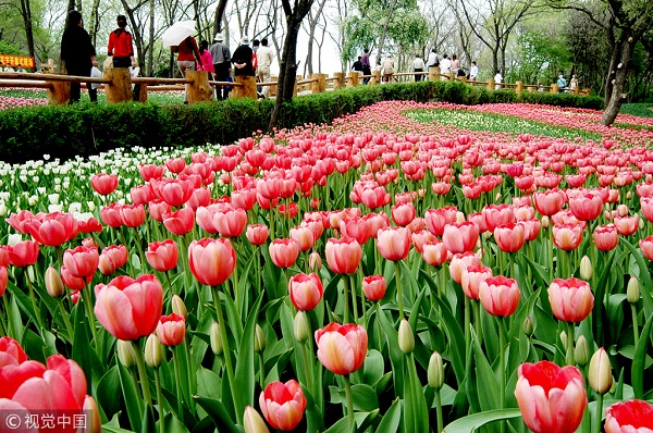 1534390913098081298.jpg 5.jpg