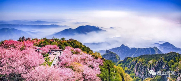 1534298133188035223.jpg 3336.jpg