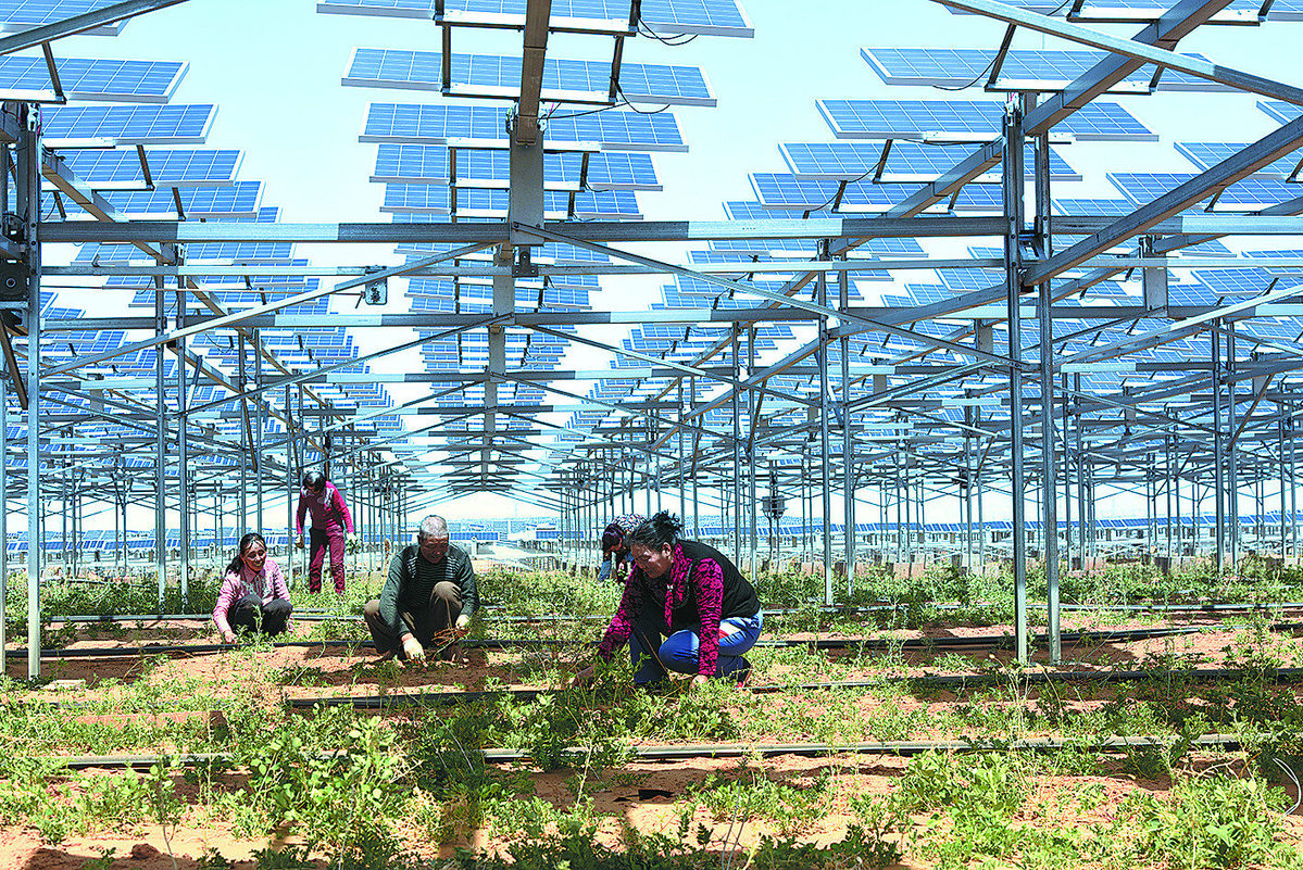 1505178970816043903.jpg 1505178970816043903.jpg