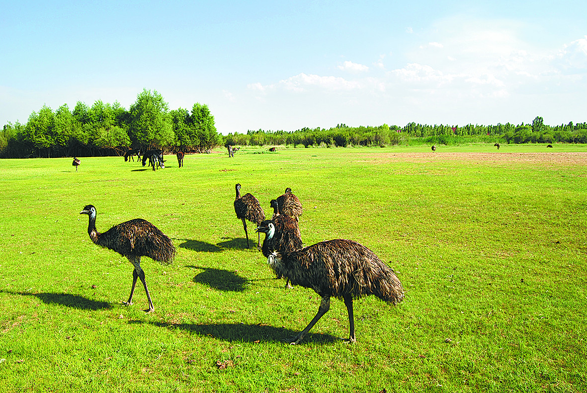 1505199858984049178.jpg 1505199858984049178.jpg