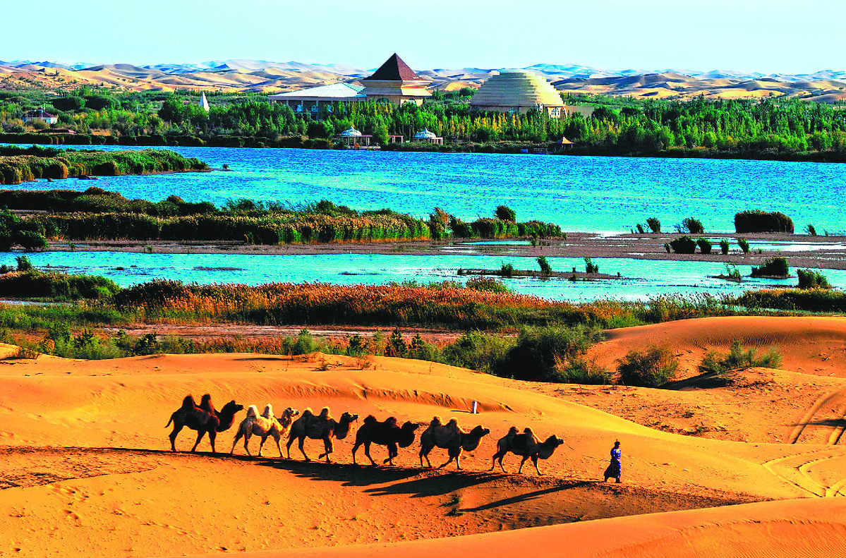 1505180192579025278.jpg 1505180192579025278.jpg