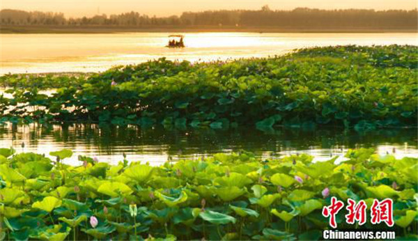 1533201209250081815.jpg 图片10_副本.jpg