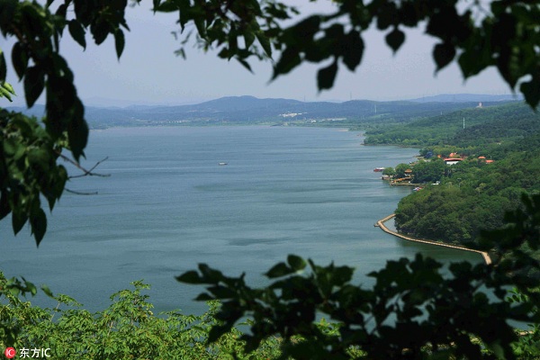 1534390843623028695.jpg 3.jpg