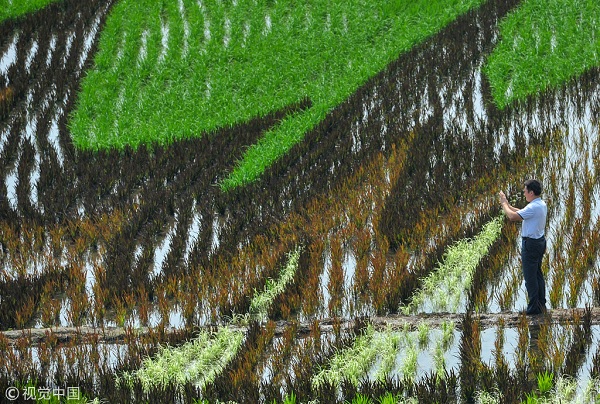 1534390961697030827.jpg 6.jpg