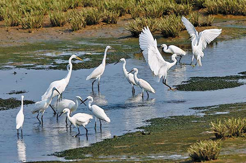 1533021819739033058.jpg 1249_副本.jpg