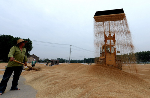 1523328830798044184.jpg 266_副本.jpg