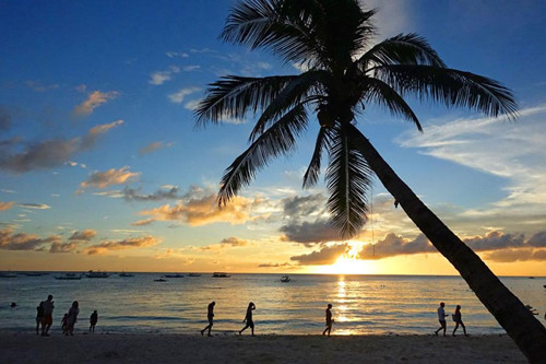 1524648395311026083.jpg 665_副本.jpg