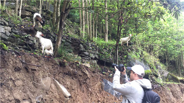 1527129935534087931.jpg 5b04b8d5a3103f68b65c7b97.jpg