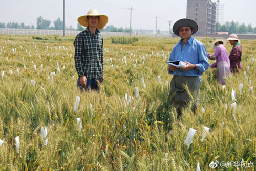 1526371817803054486.jpg 929_副本.jpg