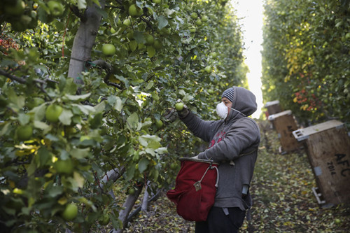 1526371590196071557.jpg 927_副本.jpg