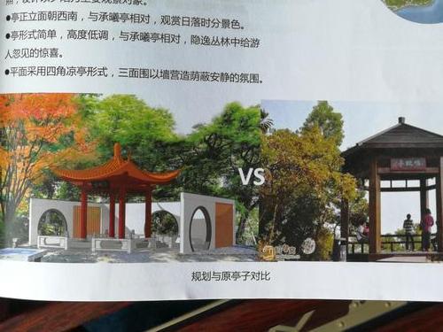 1534727636407018992.jpg 2.jpg