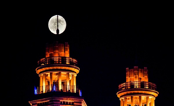 1537423513393086550.jpg 11.jpg