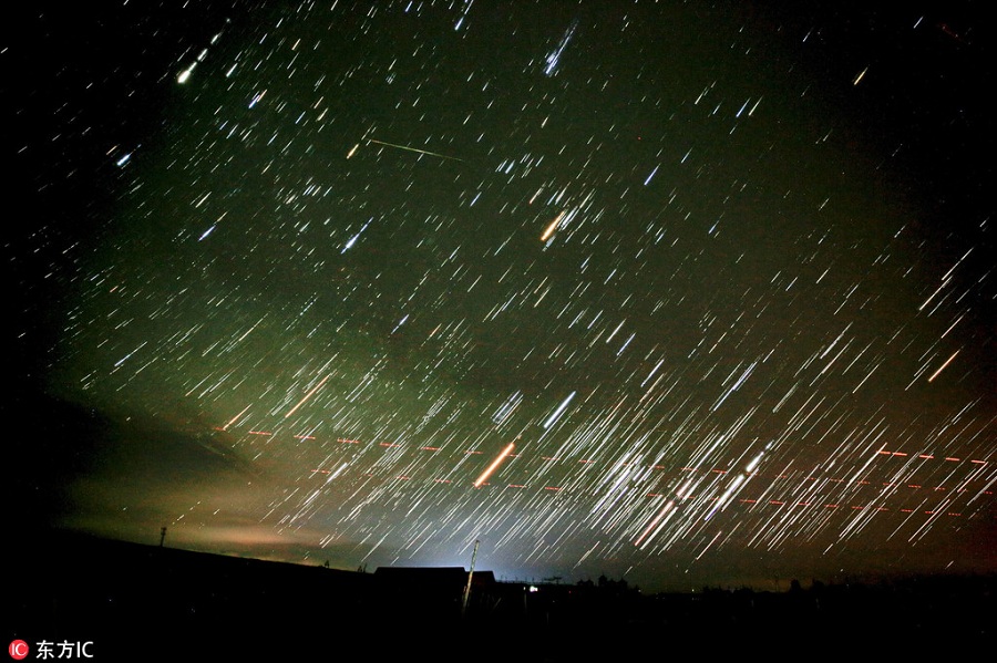 1536127335253027688.jpg w13.jpg