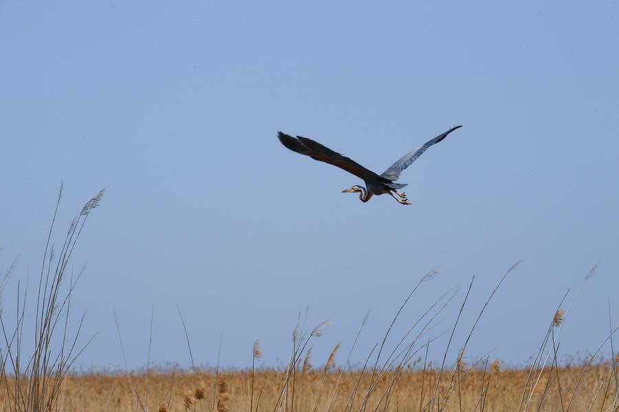 1538102344474071814.jpg b3.jpg