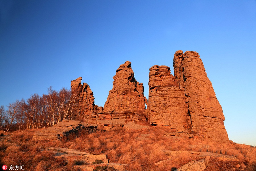 1538102833506080038.jpg d2.jpg