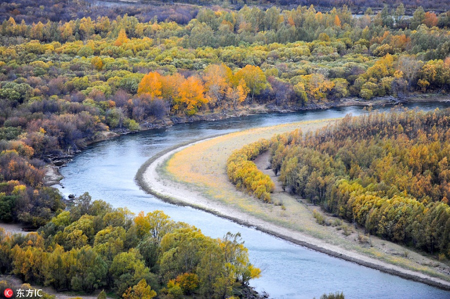 1538102867405002247.jpg f3.jpg