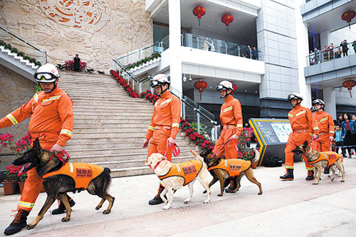 1536655762545042679.jpg 1357_副本.jpg