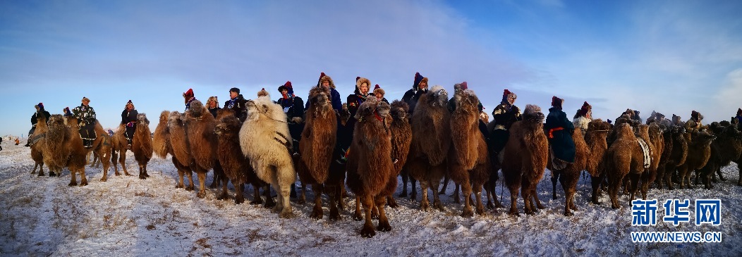 1514366232444017299.jpg 81.jpg