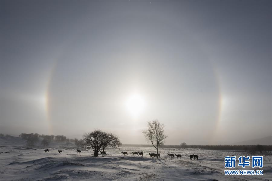 1514364054258022706.jpg 01.jpg