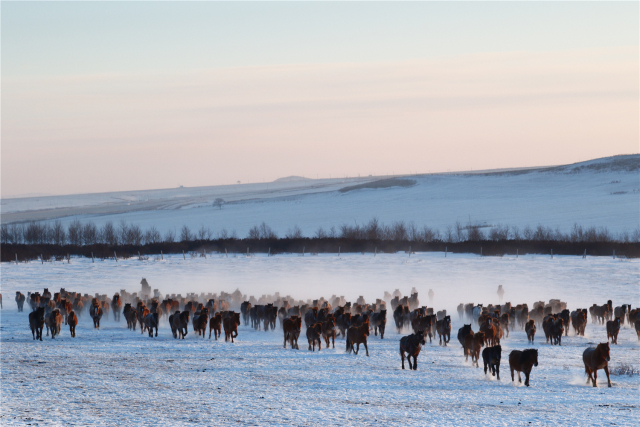 1514537347298027418.jpg 12.jpg