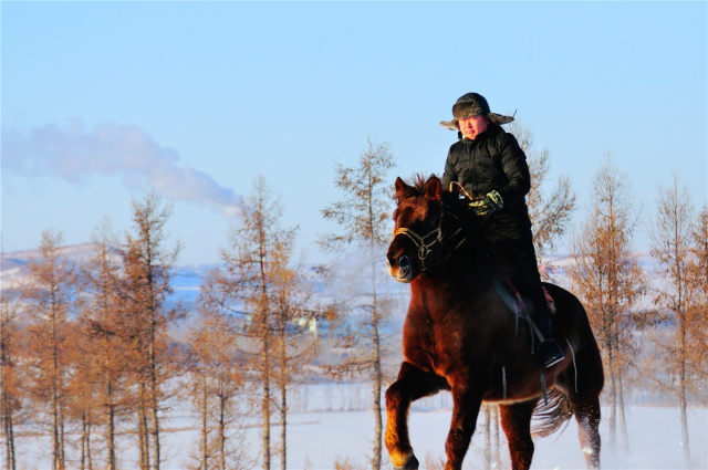 1514537480221013140.jpg 18.jpg