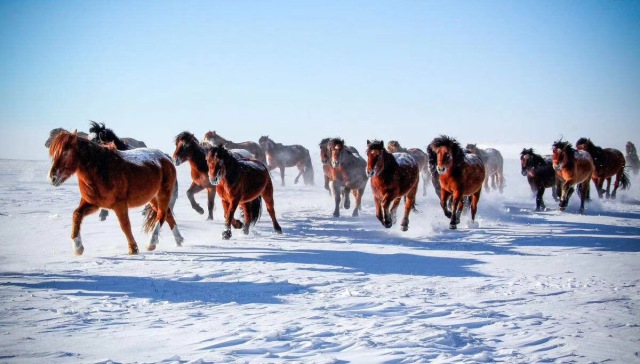 1514537588261092094.jpg 23.jpg