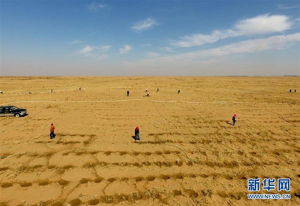 1522723505467039861.jpg f2.jpg