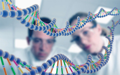 1523150364269094489.jpg jiyin.jpg