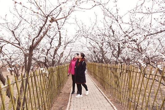 1523259701327098689.jpg res01_attpic_brief (2).jpg