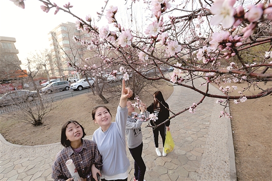 1523259174365096367.jpg res07_attpic_brief.jpg