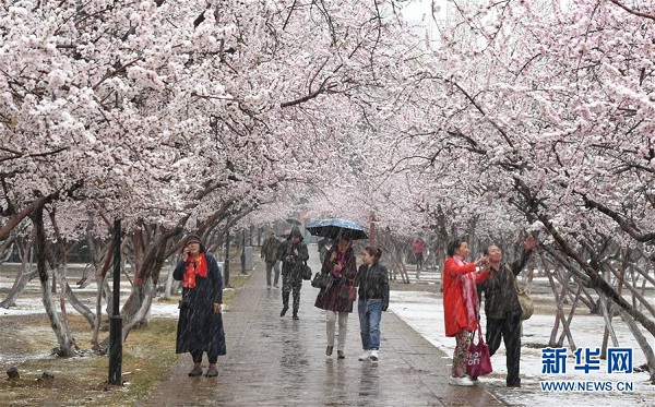 1523438051196004204.jpg b2.jpg