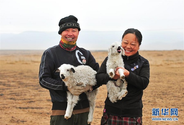 1523438622019061675.jpg k1.jpg