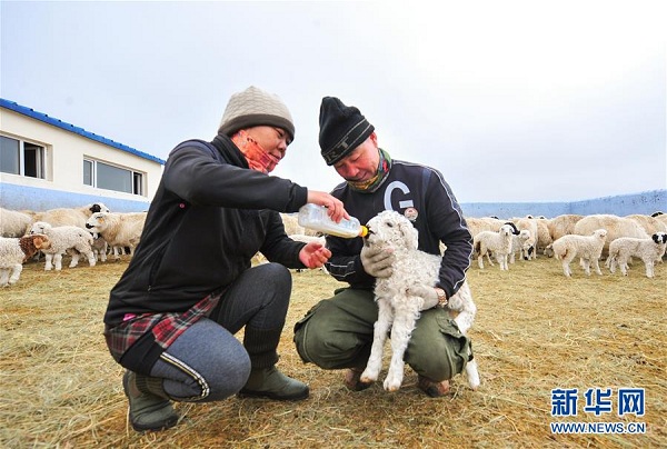 1523438661423079268.jpg k3.jpg