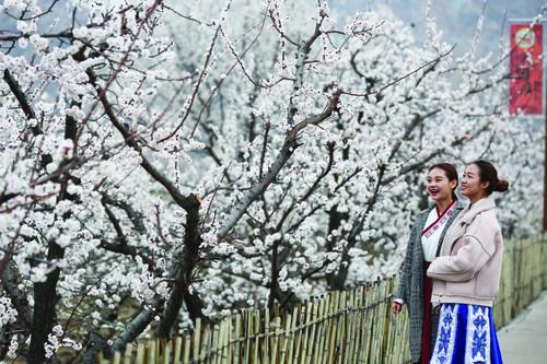 1523606032436030624.jpg 42920690547cfa4e68fe13fa79707b7f.jpg