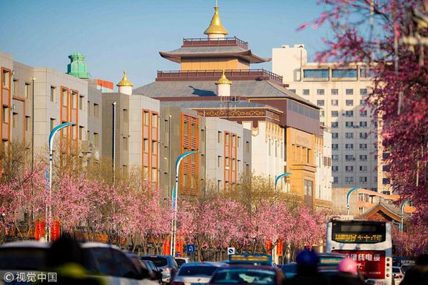 1517885075285095175.jpeg 0000.jpeg