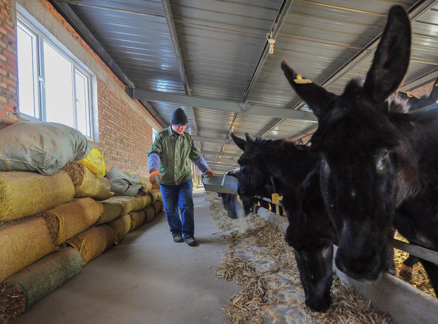 1518094339241067815.jpg g1.jpg