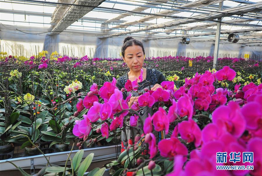 1518093650489071044.jpg h1.jpg