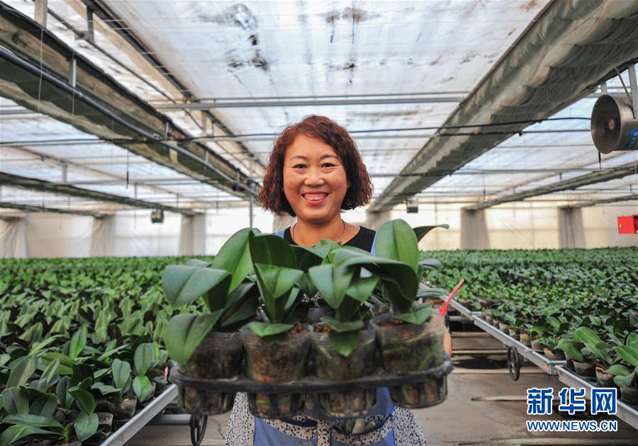 1518093674492033097.jpg h2.jpg