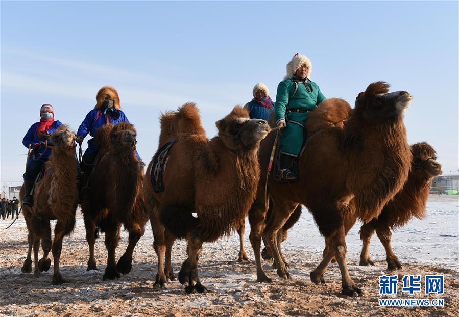 1518094675930024732.jpg j1.jpg